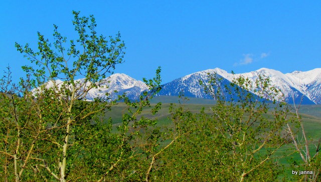 [IMG_6931%255B3%255D.jpg]