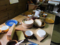 SWD1-11_AH_0025.JPG