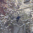 DSC07616.JPG