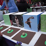 DSCN0767.JPG
