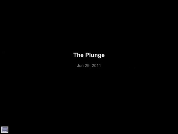 The Plunge