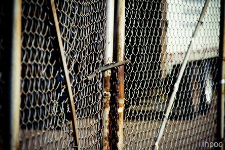 IMG_8948 IMG_8948