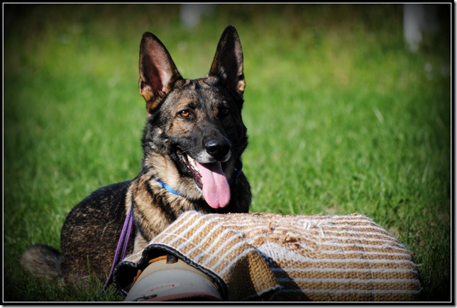 2012-08-18 Jake.Brita training.30-3