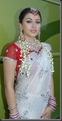 hansika-motwani-transparent-saree