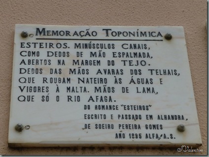P1010977_1 P1010977_1