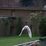 Cub Pack Holiday - Skreens Park 2012 - DSC_0145.jpg