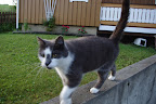 IMGP0344.JPG