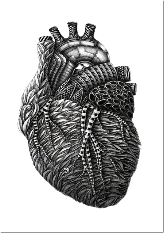 corazón corazón