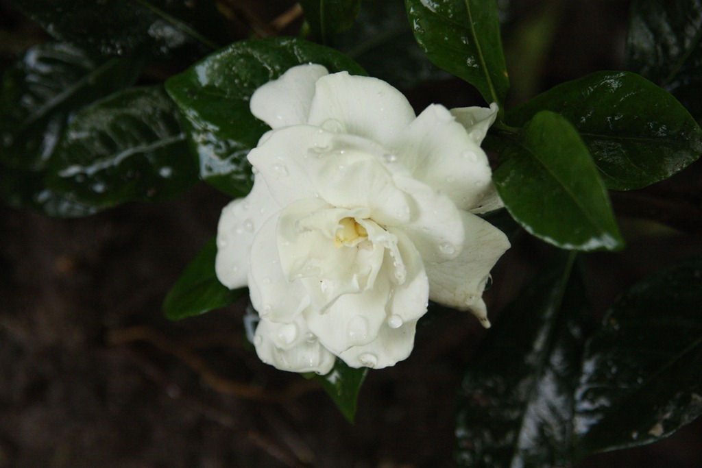 [IMG_8670%255B4%255D.jpg]