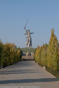 Аллея тополей