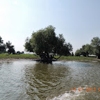DSCN2516.JPG