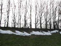 IMG_3226 IMG_3226