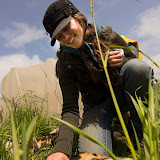 Click to view the full-size photo in our Picasa web gallery. A random photo from our Picasa gallery