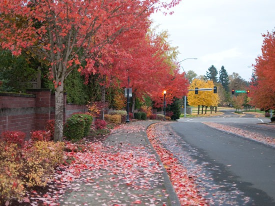 [DSC_2087%255B4%255D.jpg]