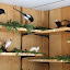 waldweihnacht 2010 097.jpg