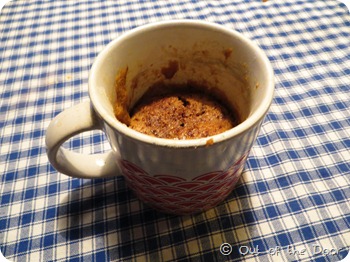 IMG_4120 IMG_4120