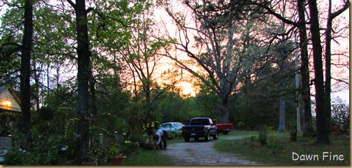 dells_026