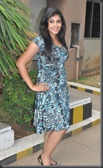 Anjali at Kalakalappu Press Meet Stills