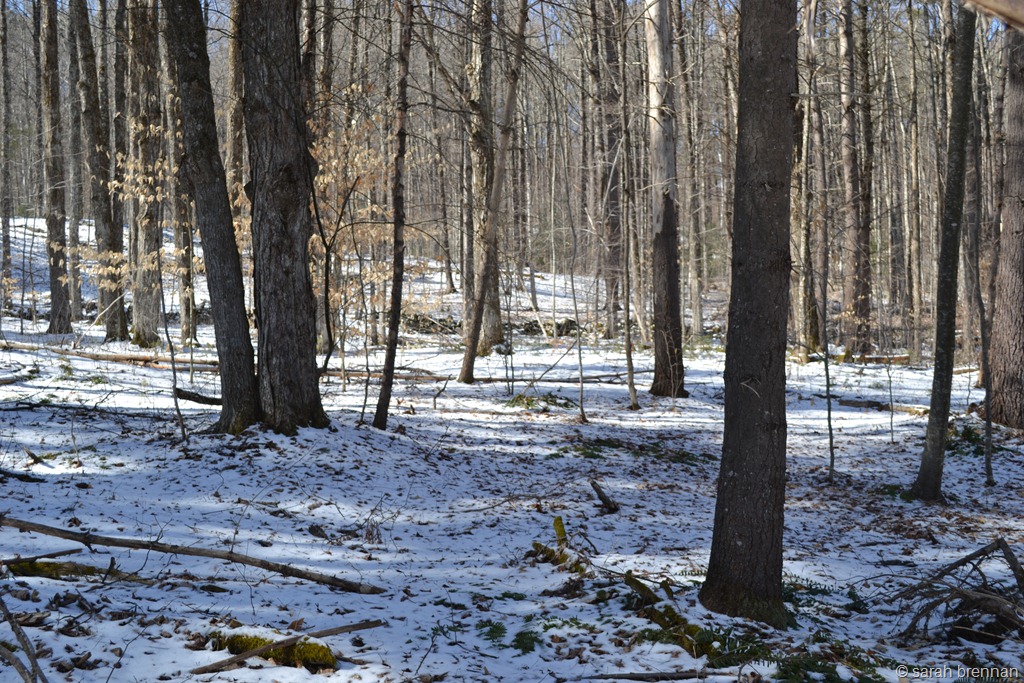 [DSC_0609%255B1%255D.jpg]