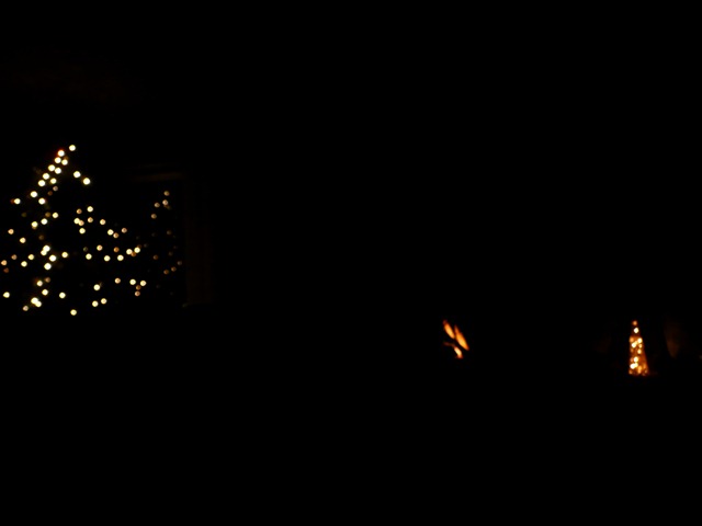 P1220949 P1220949