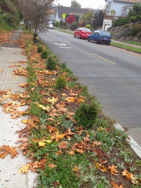 [yard5%255B4%255D.jpg]