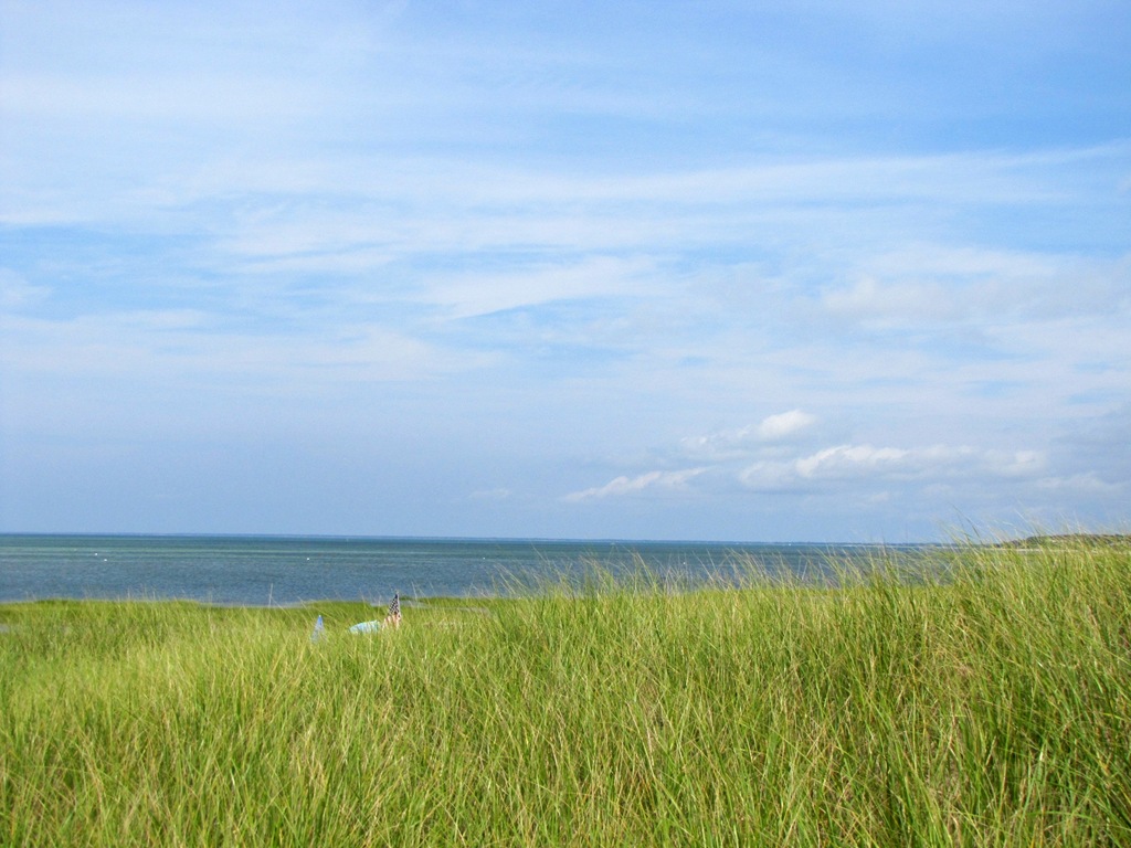 [IMG_9554%255B4%255D.jpg]