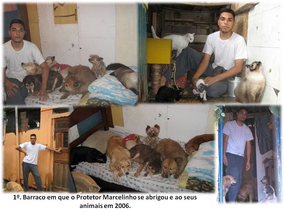[marcelo_vieira%2520%252817%2529%255B2%255D.jpg]