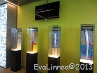 IMG_8002 IMG_8002