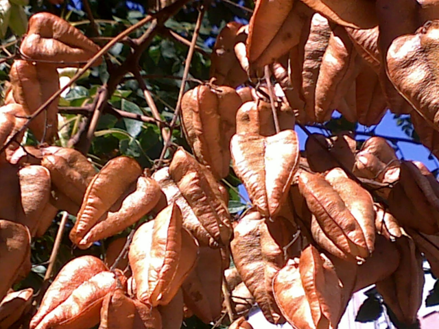 [image%255B20%255D.png]