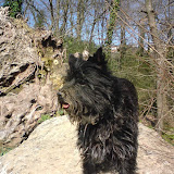May after a hunt trial