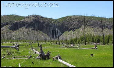 FairyFalls FairyFalls