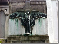 IMG_1005 IMG_1005
