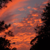 DSC_0178.jpg