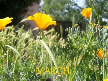 March (2)