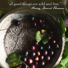 Muscadine Syrup
