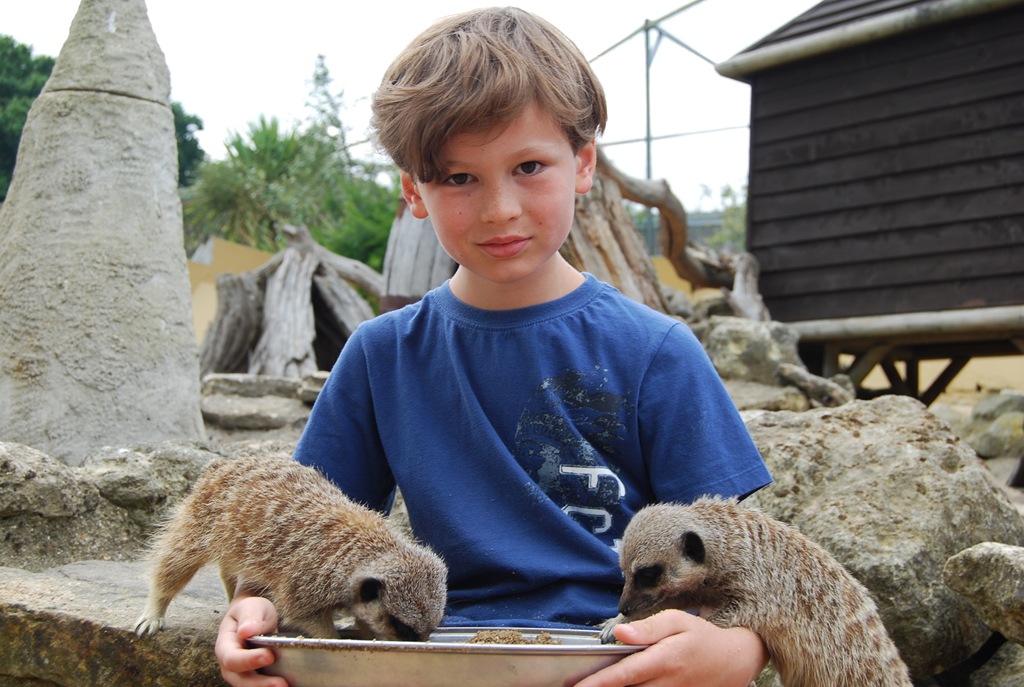 [DSC_0607%255B5%255D.jpg]