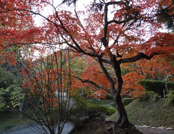 DSC00776 DSC00776
