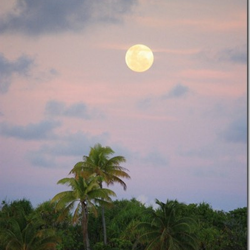 Assorted photos from French Polynesia