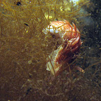 IMG_5515.JPG