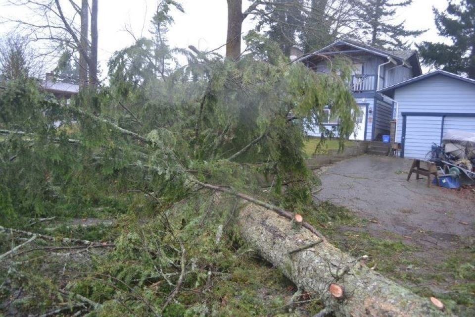 [march%2520storm2.jpg]