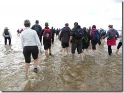 Morecambe Bay Walk (15)