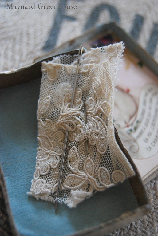 [lace%255B5%255D.jpg]