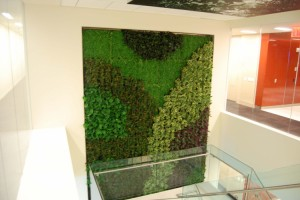 Story Interior G-O2TM Green Wall designed by Plant Connection “spans three floors in this NYC office building’s glass stairway, providing multiple levels of texture, color, and a more appealing and healthier environment.”