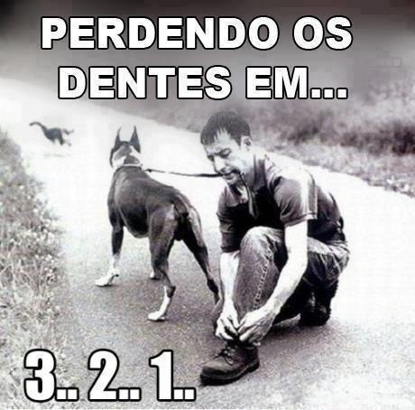 [522138_332441560150277_229811350413299_896332_1636080679_n%255B4%255D.jpg]