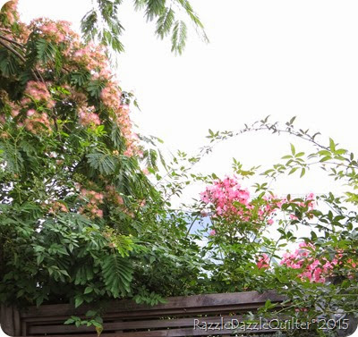 Pink Roses and silk tree Pink Roses and silk tree