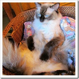 stormy sit