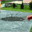 ochotnica_20090707-099.JPG