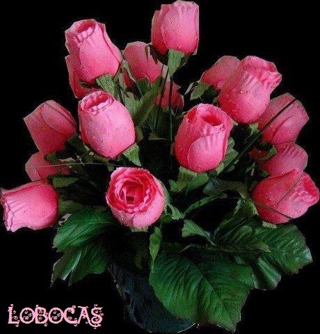 [rosas-LoBocAS-9010%255B5%255D.jpg]