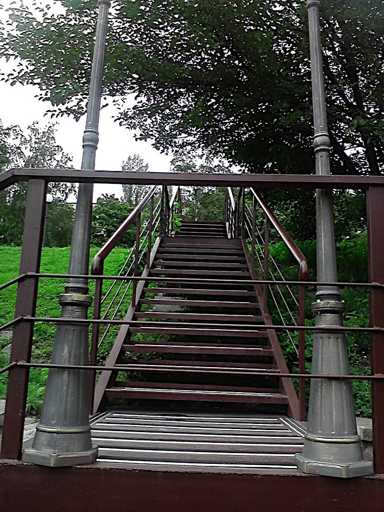 P200811_11.49.jpg