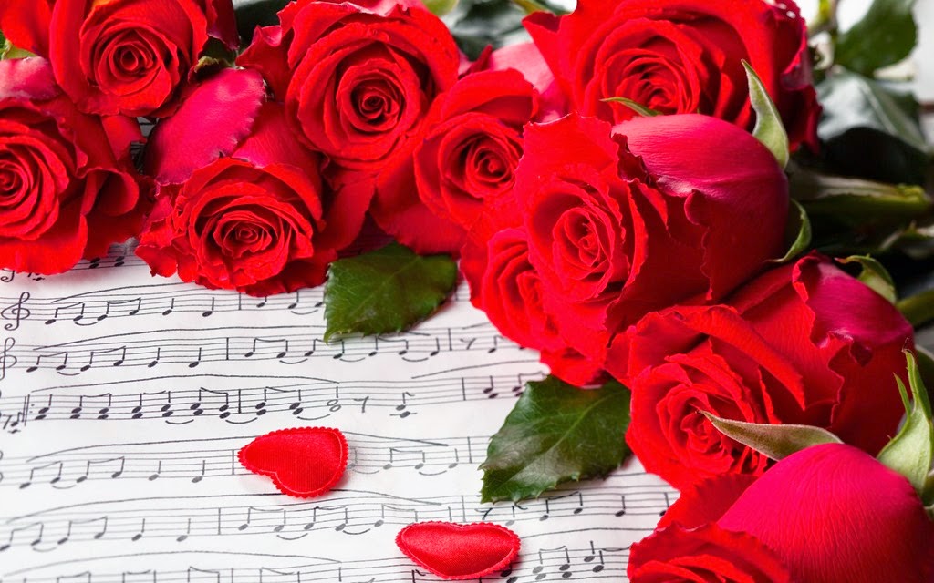 [552944_nature_flowers_flower_red_roses_valentine_days_2560x1600_%2528www.GdeFon.ru%2529%255B5%255D.jpg]